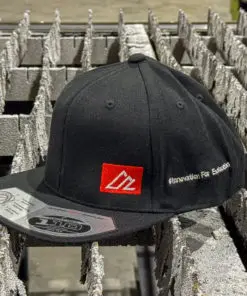 AAL Logo FlexFit Snap Back Hat (Filled Logo)