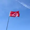 AAL Whip Flags